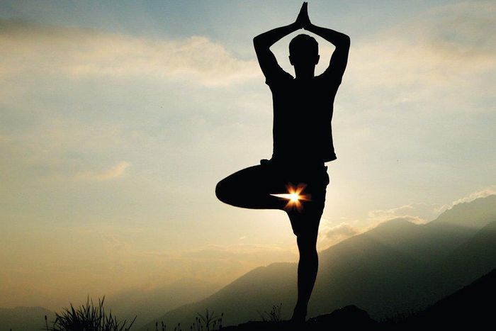 ___6210077___https:______static.pulse.com.gh___webservice___escenic___binary___6210077___2017___2___12___15___yoga-saves-mans-life