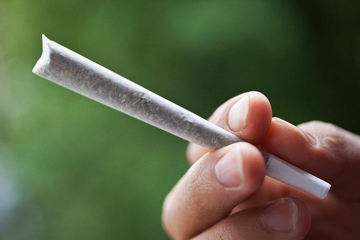 marijuana may stop brutal headaches