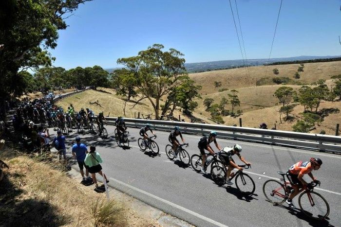 Richie Porte leads the peloton in the iconic Willunga Hill stage of the Tour Down Under.