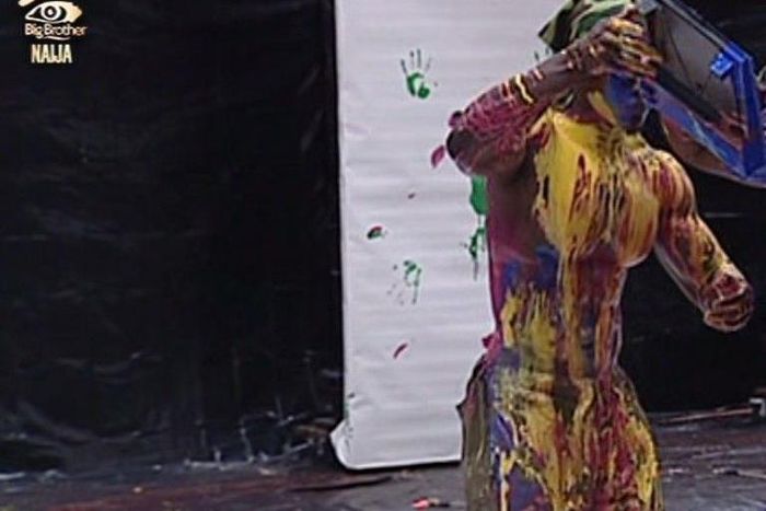 Big Brother Naija housemates