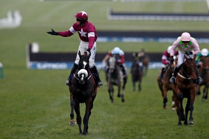 William Mullins trained Djakadam (R) has been runner-up twice in the Cheltenham Gold Cup