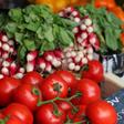 metabolism myths