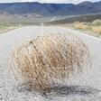 what men do during sexual drought
