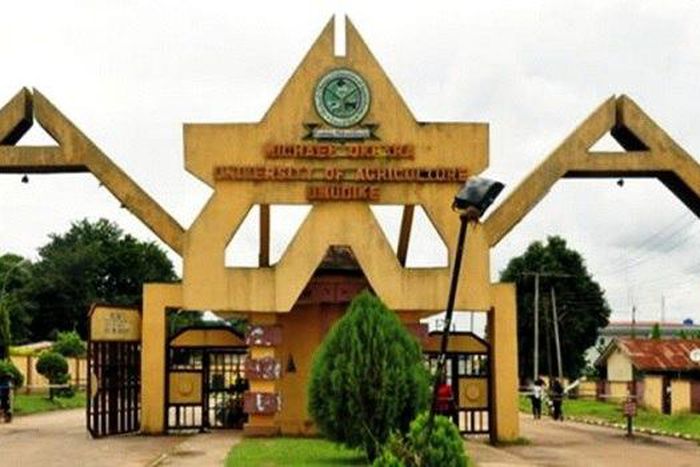 At the Michael Okpara University of Agriculture in Abia State, the security operatives in the school reportedly apprehended a suspected secret cult member who was found with incriminating items.