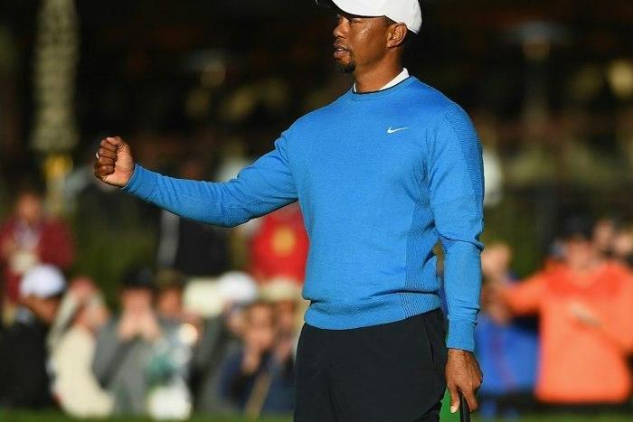 Tiger Woods, who last won a major title at the 2008 US Open, has won 79 career PGA titles