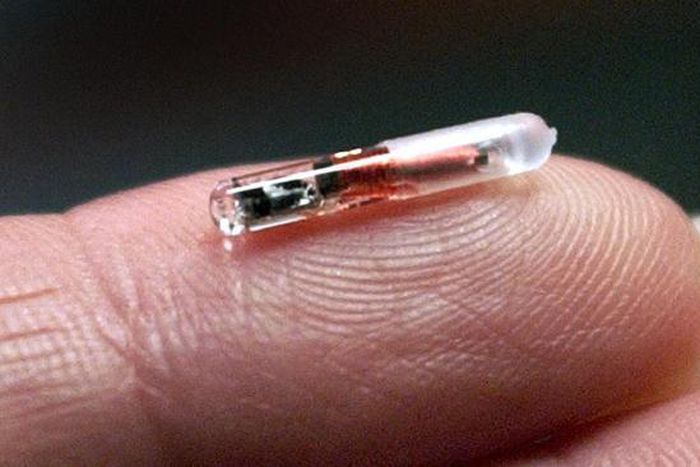 Are we now in the end times?