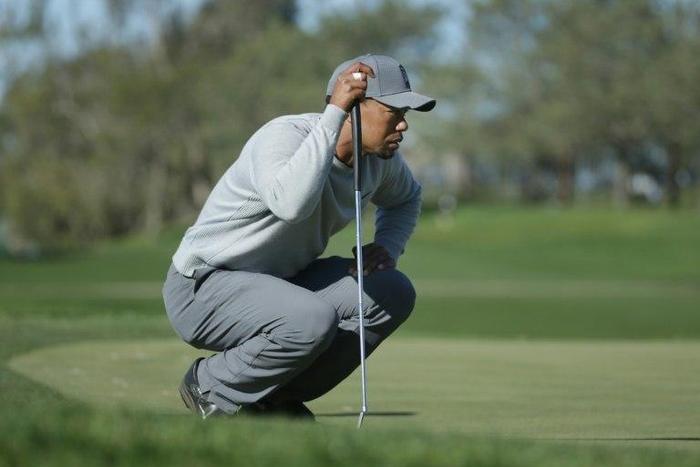 Tiger Woods, pictured in January 2017, once held the world number one ranking for a record 683 weeks