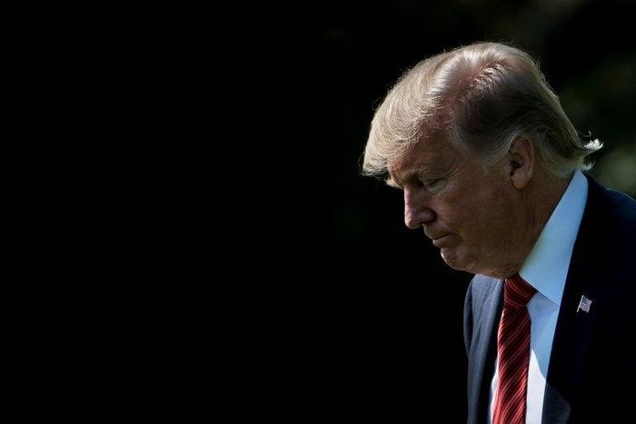 Since taking office in January, Donald Trump has made a habit of publicly bashing mainstream media outlets like The New York Times, which he regularly denounces as "fake news" on his Twitter account