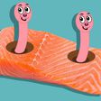Uh-oh, your salmon might be filled with tapeworms