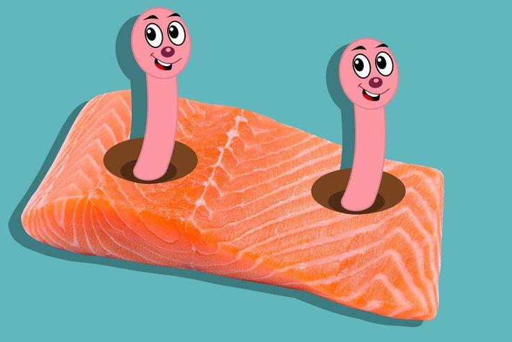 Probably worms in salmon