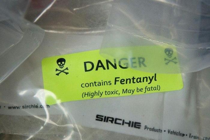More than 33,000 people in America alone died from overdoses involving prescription or illicit opioids in 2015, according to the US Centers for Disease Control and Prevention