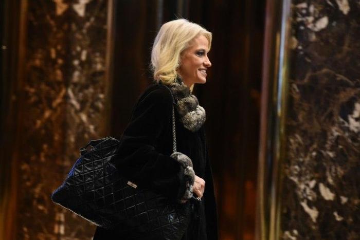 Kellyanne Conway, a top aide to President Donald Trump, gave Ivanka Trump's clothing a rave review during an interview with the Fox network, an apparent breach of ethics rules