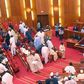 The Nigerian Senate after close of plenary.