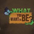 Are you what you want to be