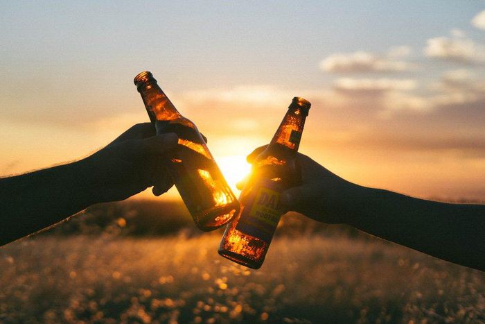 best beers for weight loss