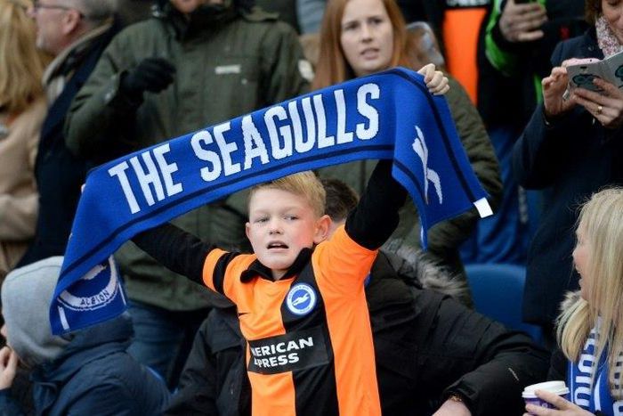 Brighton have spent 34 years outside the top flight of English football since they were relegated from the old First Division in 1983