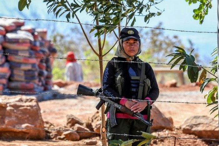 After more than half a century of war, the Revolutionary Armed Forces of Colombia have come out of their jungle hideouts for the next step of their historic peace accord
