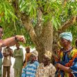 N-Power team interacting with volunteers and some farmers at a farm settlement in Osogbo.