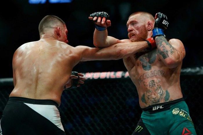 Las Vegas-based Ultimate Fighting Championship (UFC) has shot to sporting prominence by making global stars of fighters such as Conor McGregor (pictured R) and Ronda Rousey