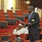 Senator Gbenga Ashafa