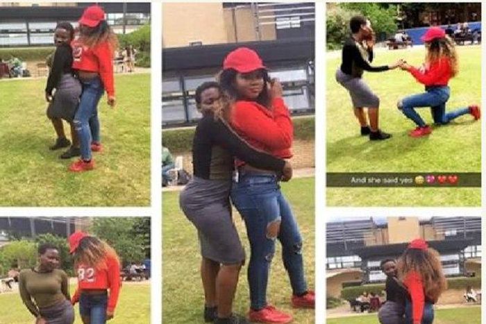 Alessandra Obateru proposing to her lesbian partner