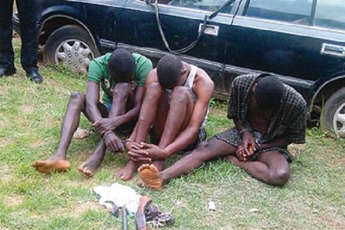 A gang of robbers busted