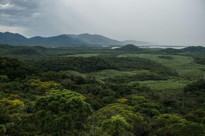 Ranchers and settlers in the remotest reaches of northwestern Brazil are voraciously cutting down rainforest to farm crops, encroaching on the ancestral lands of three uncontacted groups, said Survival International