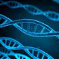 Genetics