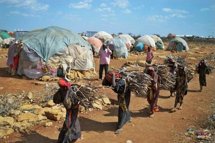 With Somalia on the brink of famine, women fleeing to displacement camps in search of food and water are falling victim to rape and sexual assault