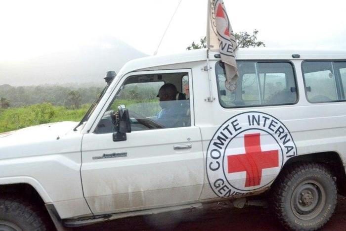 The International Committee of the Red Cross has suspended all work in the troubled region of the eastern DR Congo after two of its staff were kidnapped Wednesday morning