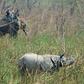 A one-horn rhino in Nepal's Chitwan National Park during an operation by conservationists this month