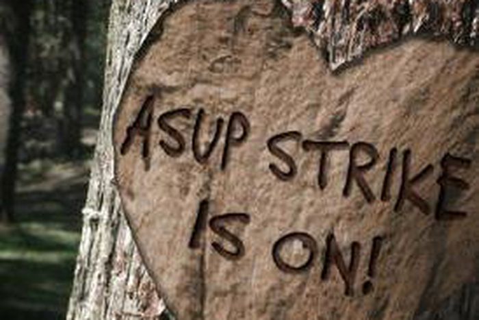 ___2767978___https:______static.pulse.com.gh___webservice___escenic___binary___2767978___2014___4___1___18___Asup+Strike