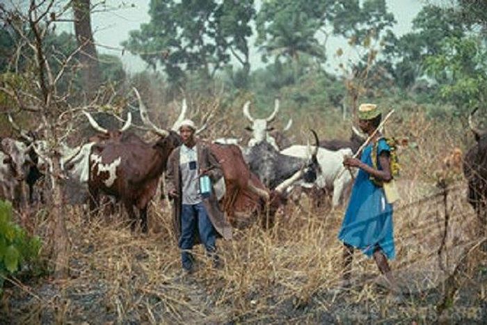 Suspected Fulani herdsmen have murdered a chief in Enugu.