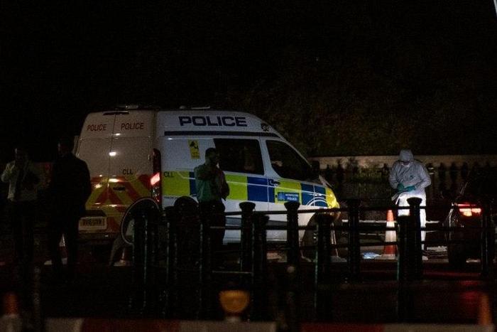 Announcing a second arrest, British police said a warrant had been granted for the extended detention of the 26-year-old man in connection with Friday's sword attack outside Buckingham Palace