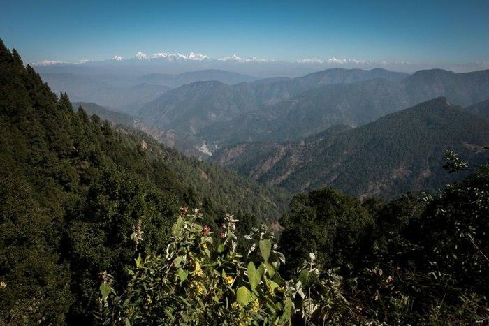 The status of "living entity" was given to two glaciers as well as swathes of the Himalayan environment, including waterfalls, meadows, lakes and forests.