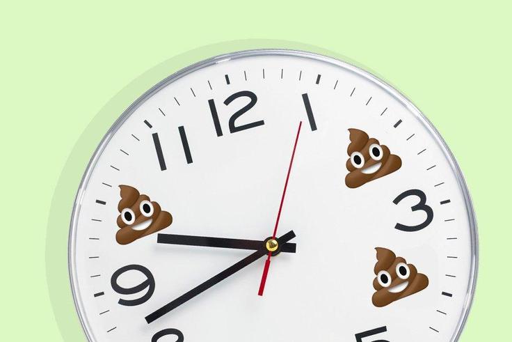 How often you should poop.