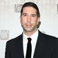 David Schwimmer and his wife, Zoe Buckman take a break from marriage of six years.