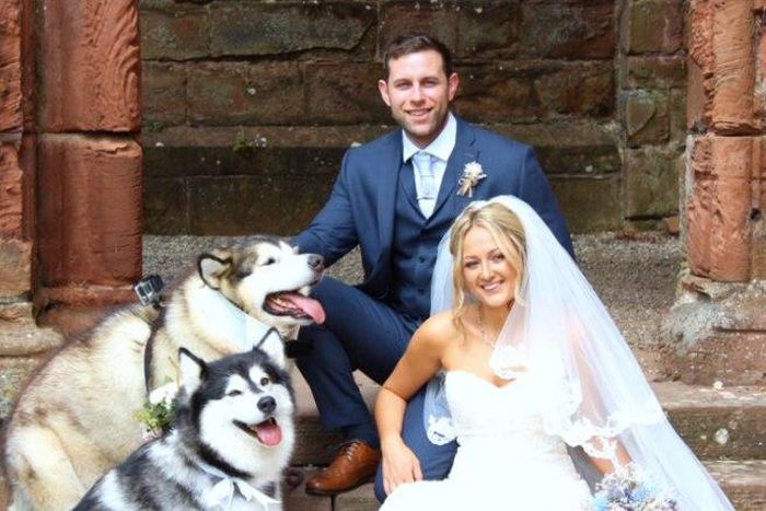 This British couple includes pets in bridal party and it's so, so adorable
