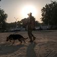A Nigerian soldier with his sniffer dog patrols on January 18, 2017