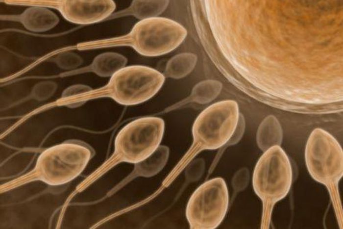 According to an expert, not all fertile men may be able to donate sperm.