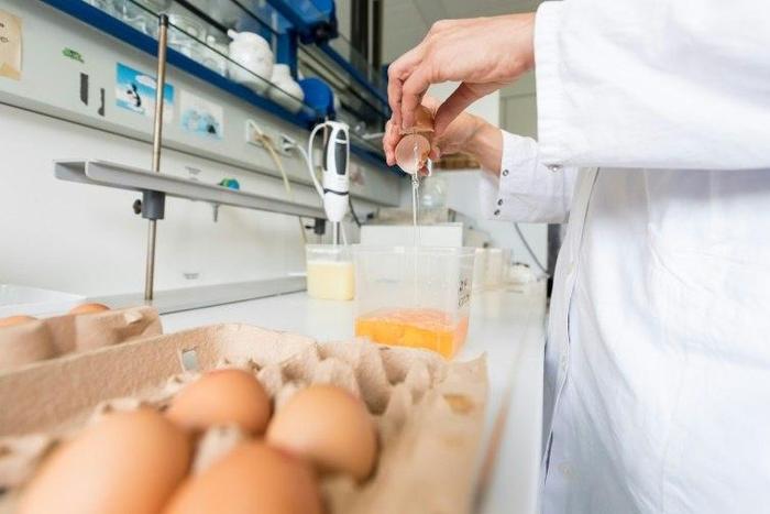 Contaminated eggs have been found in at least 11 countries since the scare went public on August 1, with millions of eggs and egg-based products being pulled from supermarket shelves