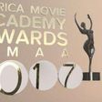 The African Movie Academy Awards 2017