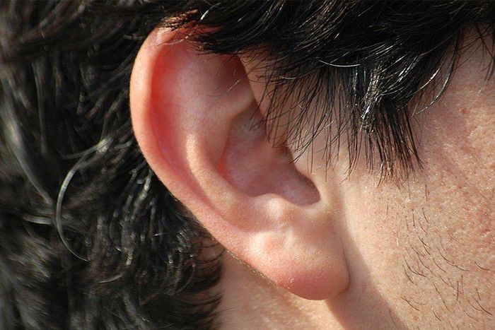 earlobes gauge risk common killer