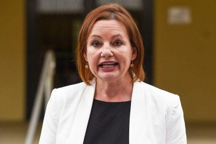 Sussan Ley addresses the media in Albury at the back door of her office over expenses.