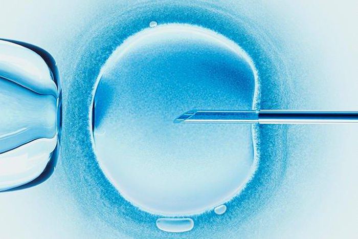___7100804___https:______static.pulse.com.gh___webservice___escenic___binary___7100804___2017___8___5___13___scientists-successfully-edit-embryo-dna