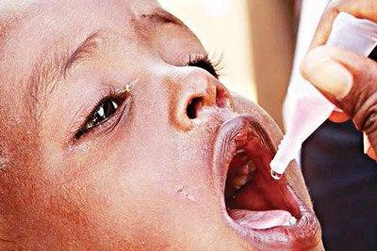 ___4009783___https:______static.pulse.com.gh___webservice___escenic___binary___4009783___2015___7___24___19___Polio-vaccine