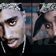Newcomer Demetrius Shipp Jr. has been cast as the legendary Tupac