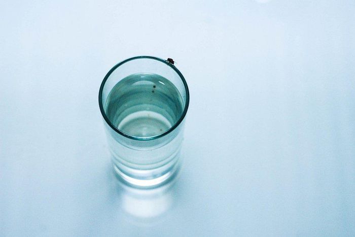 ___6615529___https:______static.pulse.com.gh___webservice___escenic___binary___6615529___2017___5___2___19___gettyimages-595906957