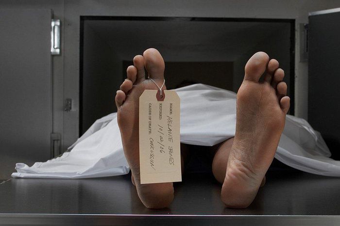 man slept next to dead wife for days