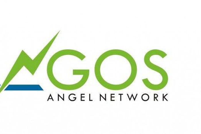 Lagos Angel Network